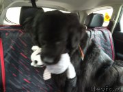 Превью фото № 215739