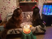 Превью фото № 215744