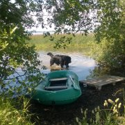 Превью фото № 215796