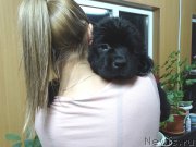 Превью фото № 215817