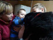 Превью фото № 215820