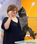 Превью фото № 215857