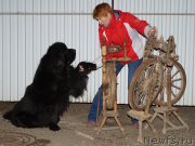 Превью фото № 215890