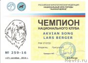 Превью фото № 215995