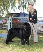 Превью фото № 216023