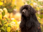 Превью фото № 216029