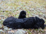 Превью фото № 216042