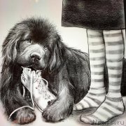 Превью фото № 216045