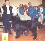 Превью фото № 21607