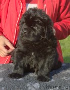 Превью фото № 216092