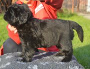 Превью фото № 216112