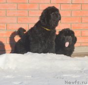 Превью фото № 216121