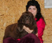 Превью фото № 216151