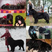 Превью фото № 216228