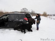 Превью фото № 216458