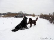 Превью фото № 216461