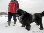 Превью фото № 216462