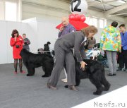 Превью фото № 216658