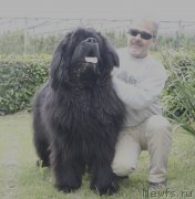 Превью фото № 216662