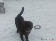 Превью фото № 216727