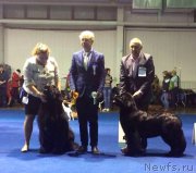 Превью фото № 216730