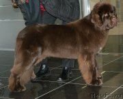 Превью фото № 216758