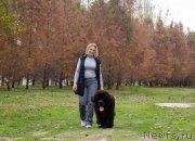 Превью фото № 216780