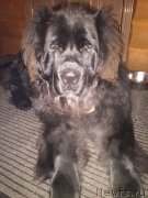 Превью фото № 216783