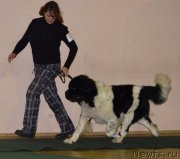 Превью фото № 216814