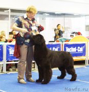 Превью фото № 216828