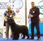 Превью фото № 216829