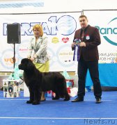 Превью фото № 216830