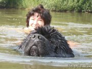 Превью фото № 216938