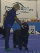 Превью фото № 216961