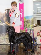 Превью фото № 217094