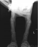 Превью фото № 217187