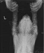 Превью фото № 217191