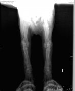 Превью фото № 217193