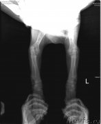 Превью фото № 217195