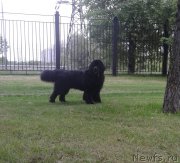 Превью фото № 217199