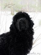 Превью фото № 217209