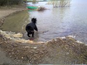 Превью фото № 217232