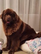 Превью фото № 217278