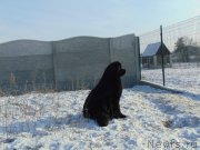 Превью фото № 217334