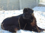 Превью фото № 217337