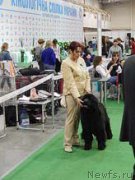 Превью фото № 217341