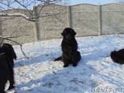 Превью фото № 217349