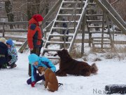 Превью фото № 217437