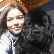 Превью фото № 217479