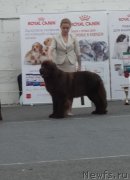 Превью фото № 217484